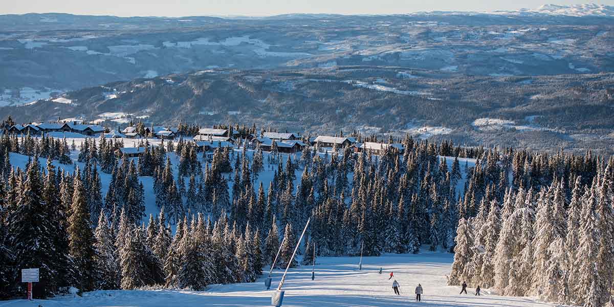 Hafjell udsigt over skov 