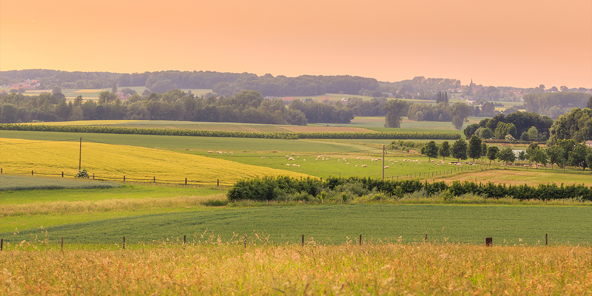 Flanders Travel Guides | Ferry Travel To Belgium | DFDS