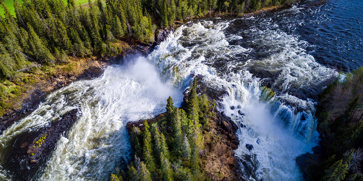 Sweden nature