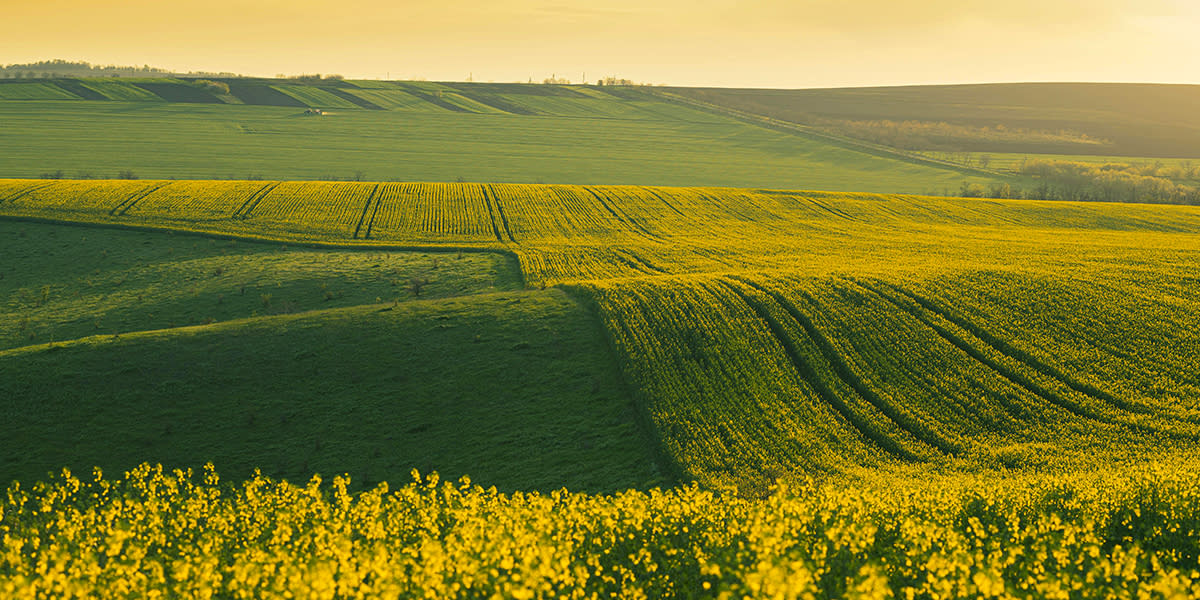 View of fields