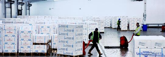 DFDS employees moving seafood inside a reefer warehouse