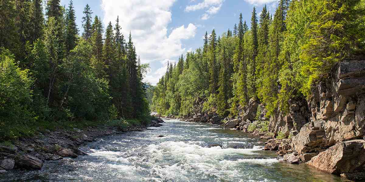 National parks Sweden