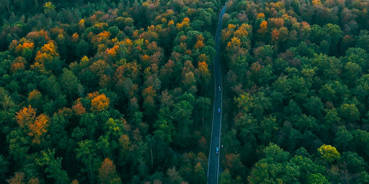Black Forrest Highway, Germany