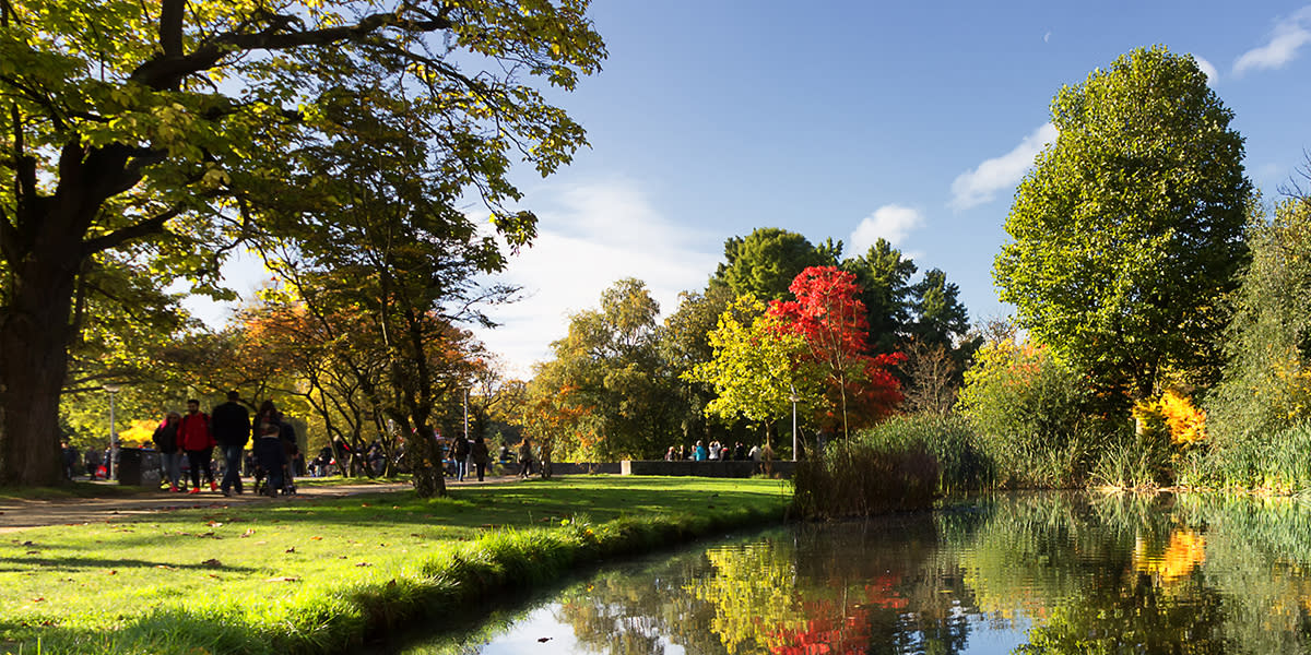 Park in Amsterdam