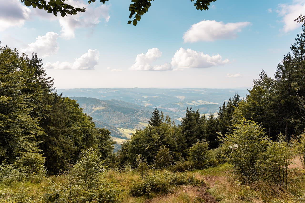 Germany's Black Forest