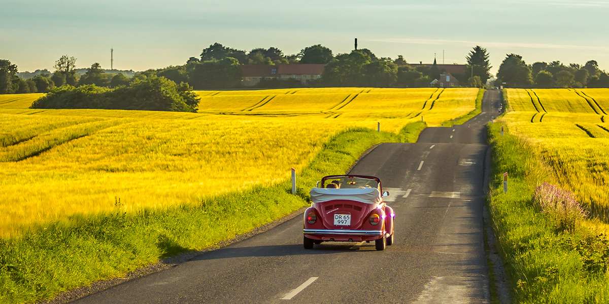 Roadtrip in Denmark - Visitdenmark -  yellow field -  photocredit Dennis Borup Jakobsen