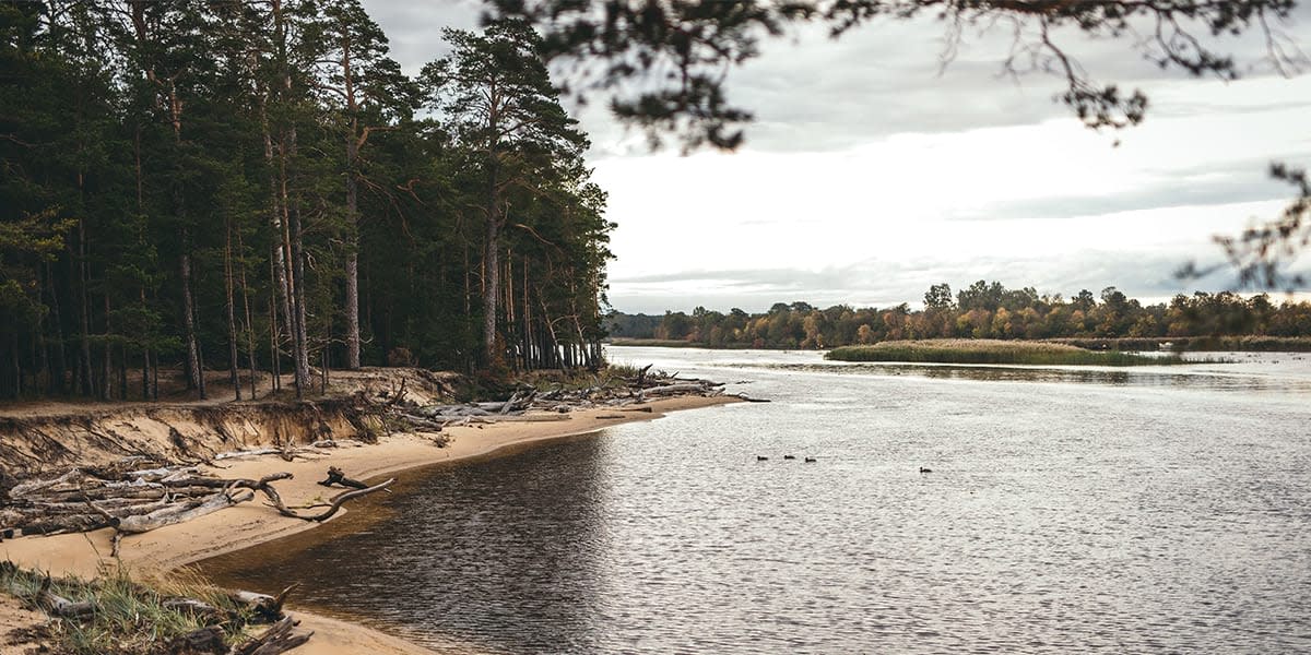 Gauja national park in Latvia - Marek Steins