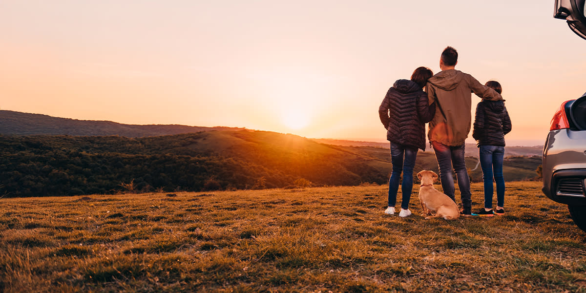 DINE pet travel hero