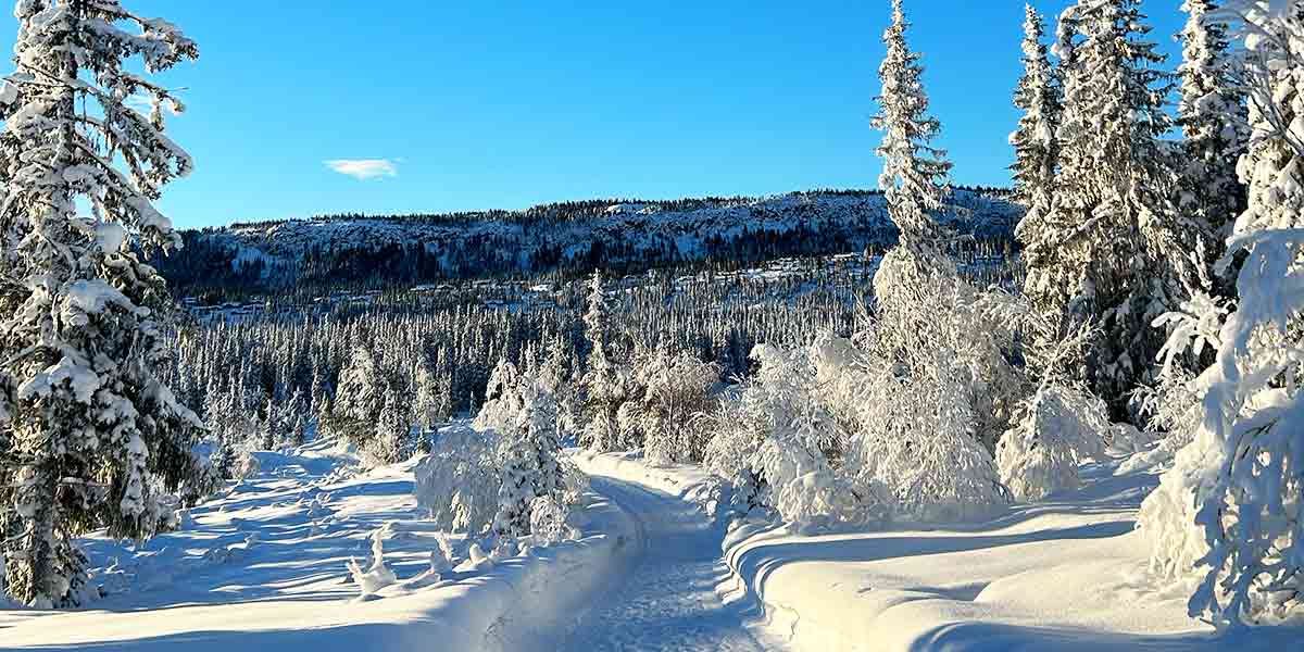 Landskaber omkring Skeikampen Credit VisitSkeikampen.no