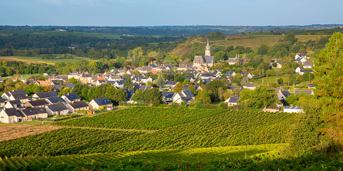 Tours in Loire Valley 