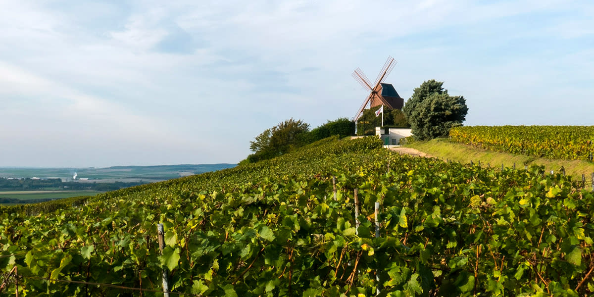 Windmill on top of a hill with vineyards France