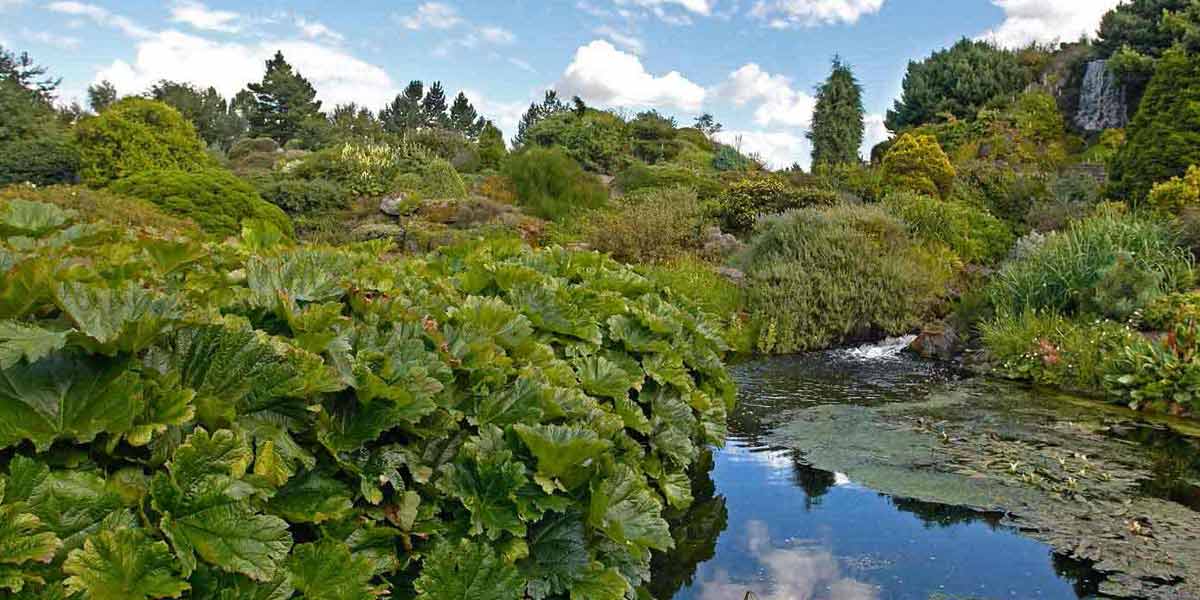 Botanical gardens in Edinbuurgh, Scotland