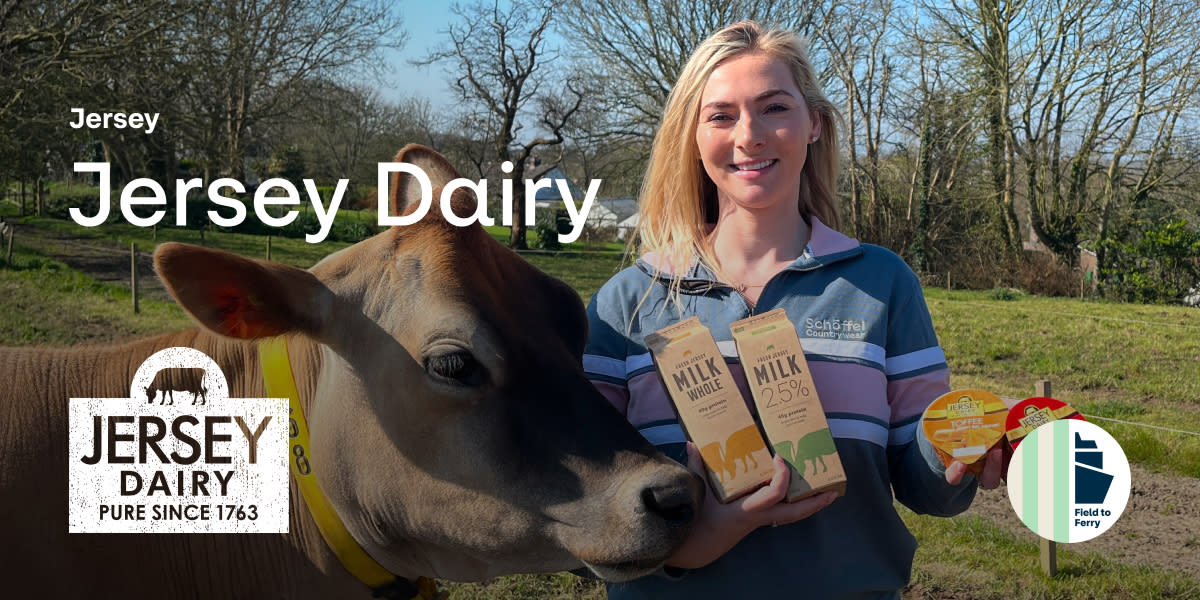 Field to Ferry // Jersey Dairy // Ferries from Jersey Field to Ferry // Jersey Dairy // Ferries from Jersey