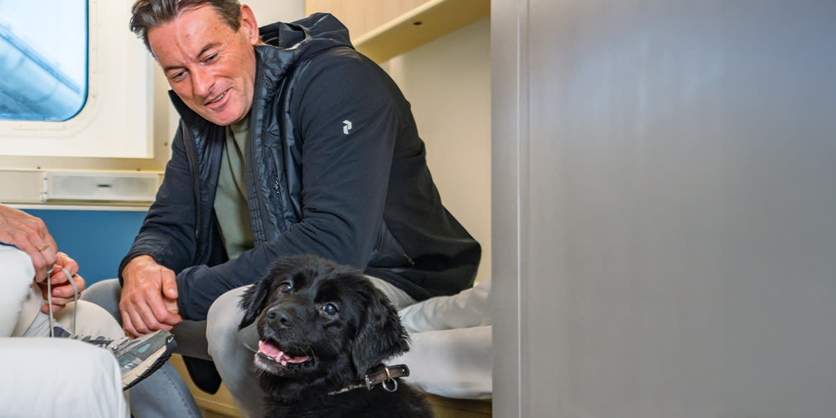 Dog in pet-friendly cabin