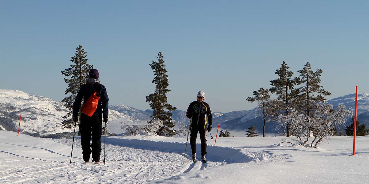 Langrenn Vrådal 