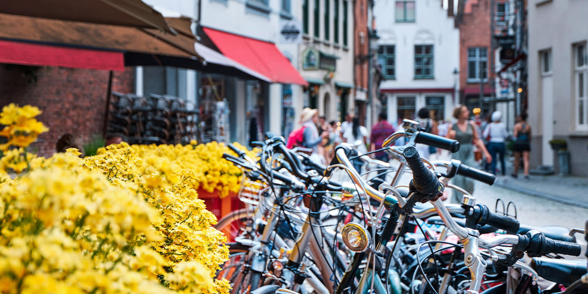 Tour of Flanders Cycling Route