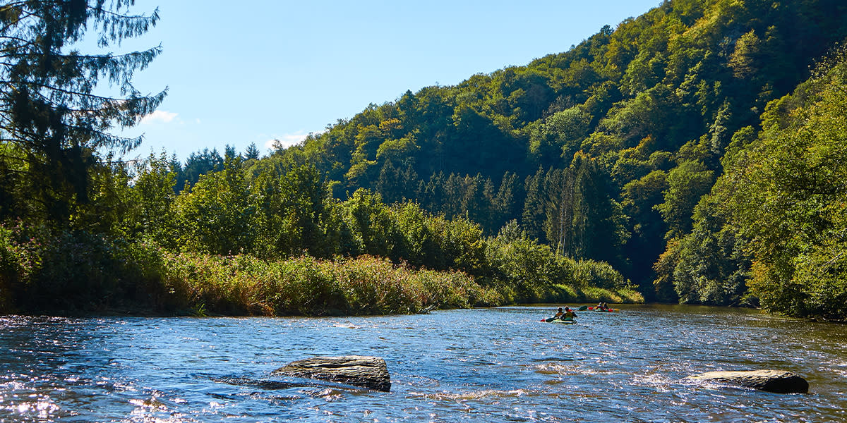 Scenery in The Ardennes