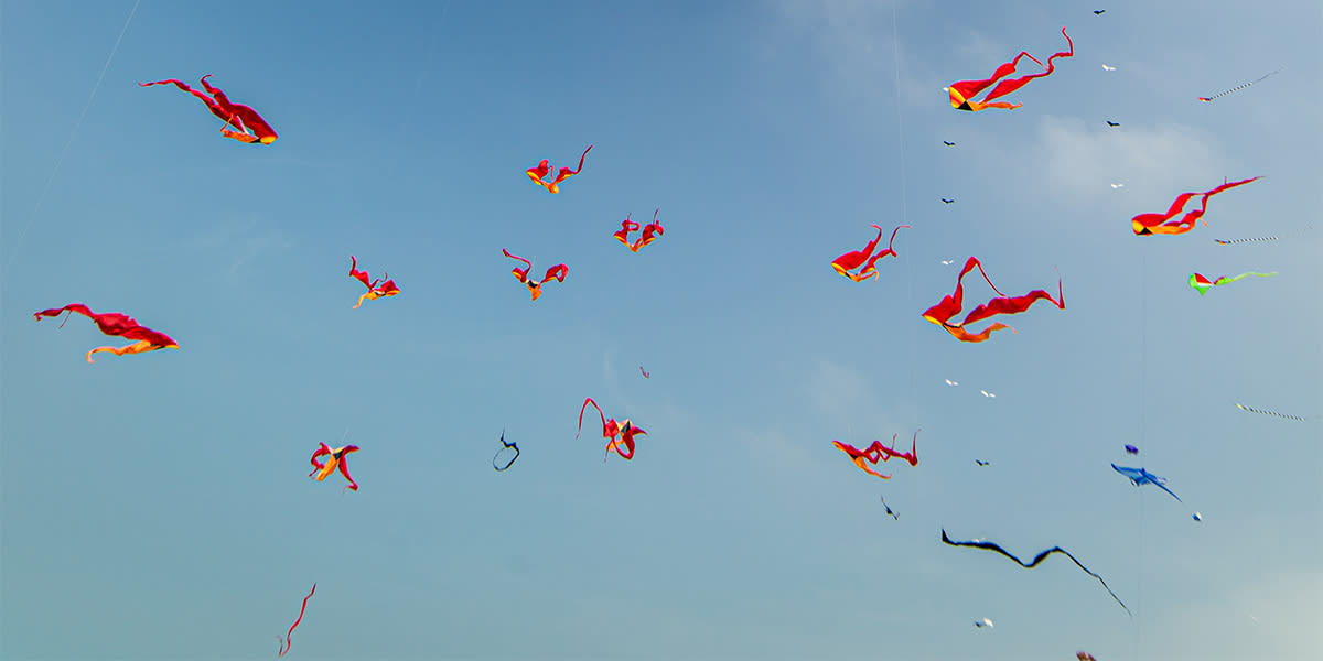 Dieppe Kite Festival Dieppe Kite Festival
