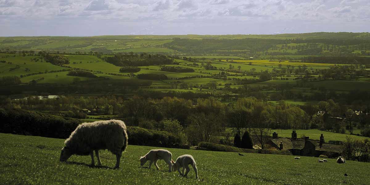 North York Moors