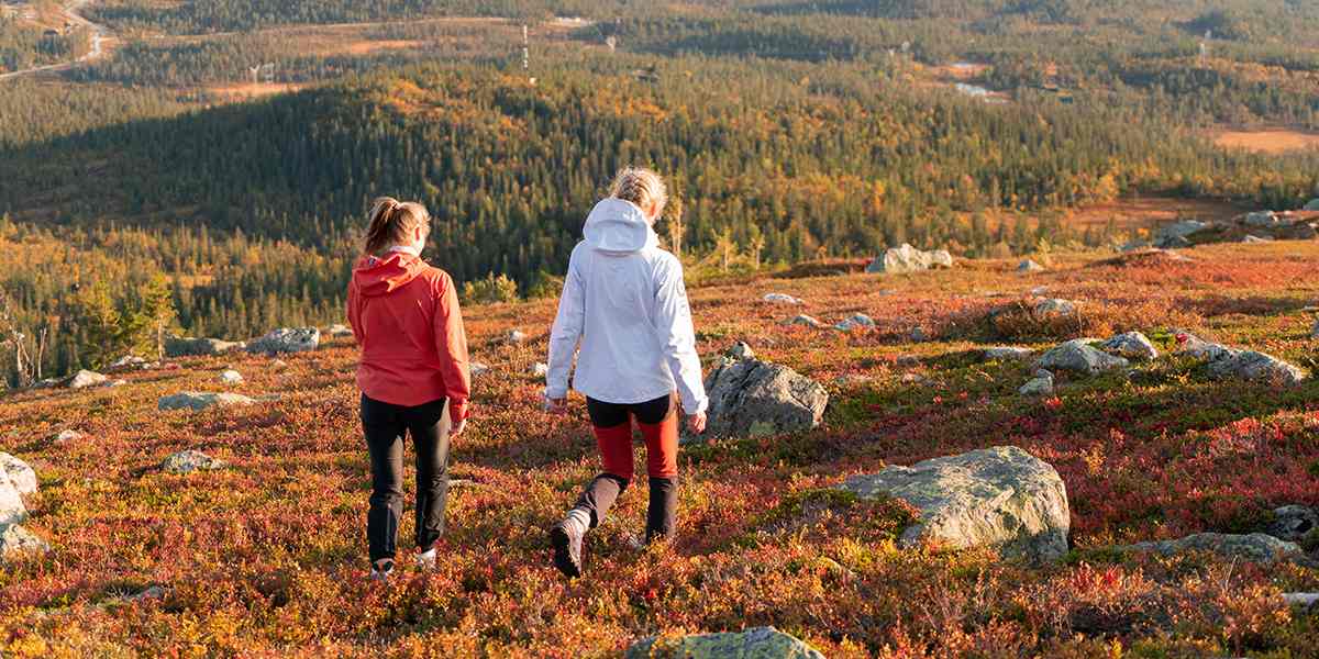 Norefjell - Norway - nature