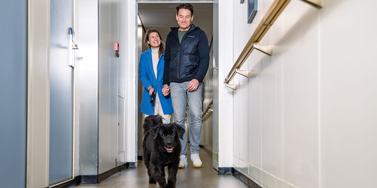 Pet heading to cabin