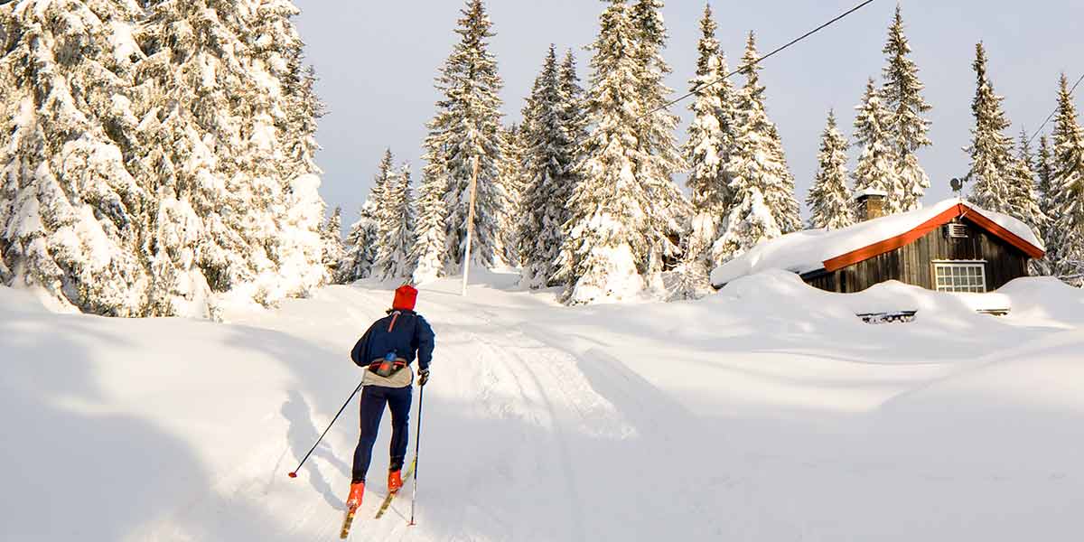 Langrend Norefjell 