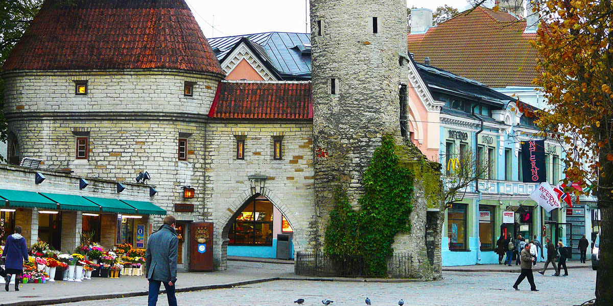 Tallinn old town 