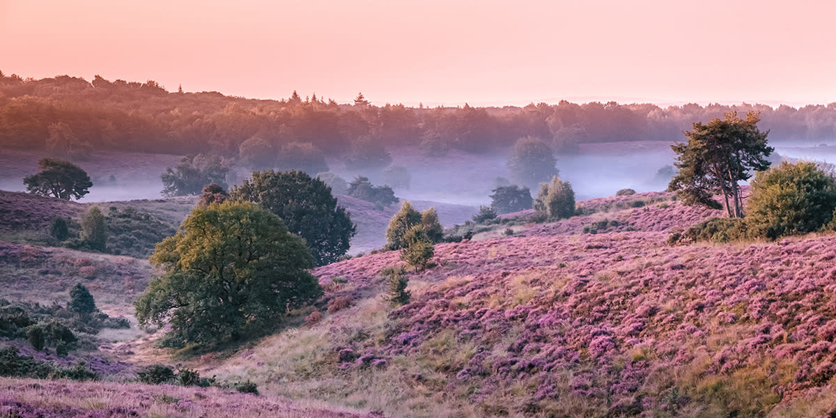 Veluwe and Gelderland morning mist