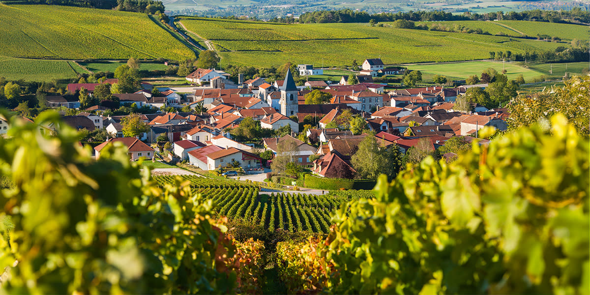 -H1- A guide to the Champagne-Ardenne region