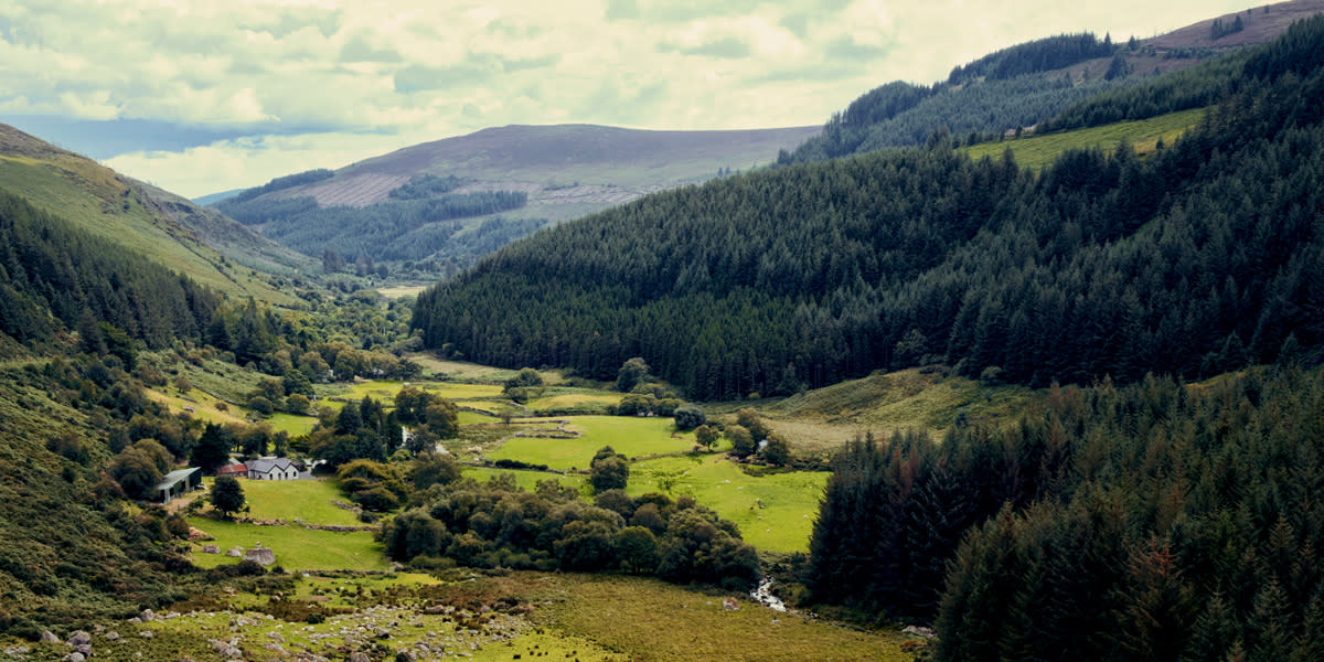 Wicklow mountains