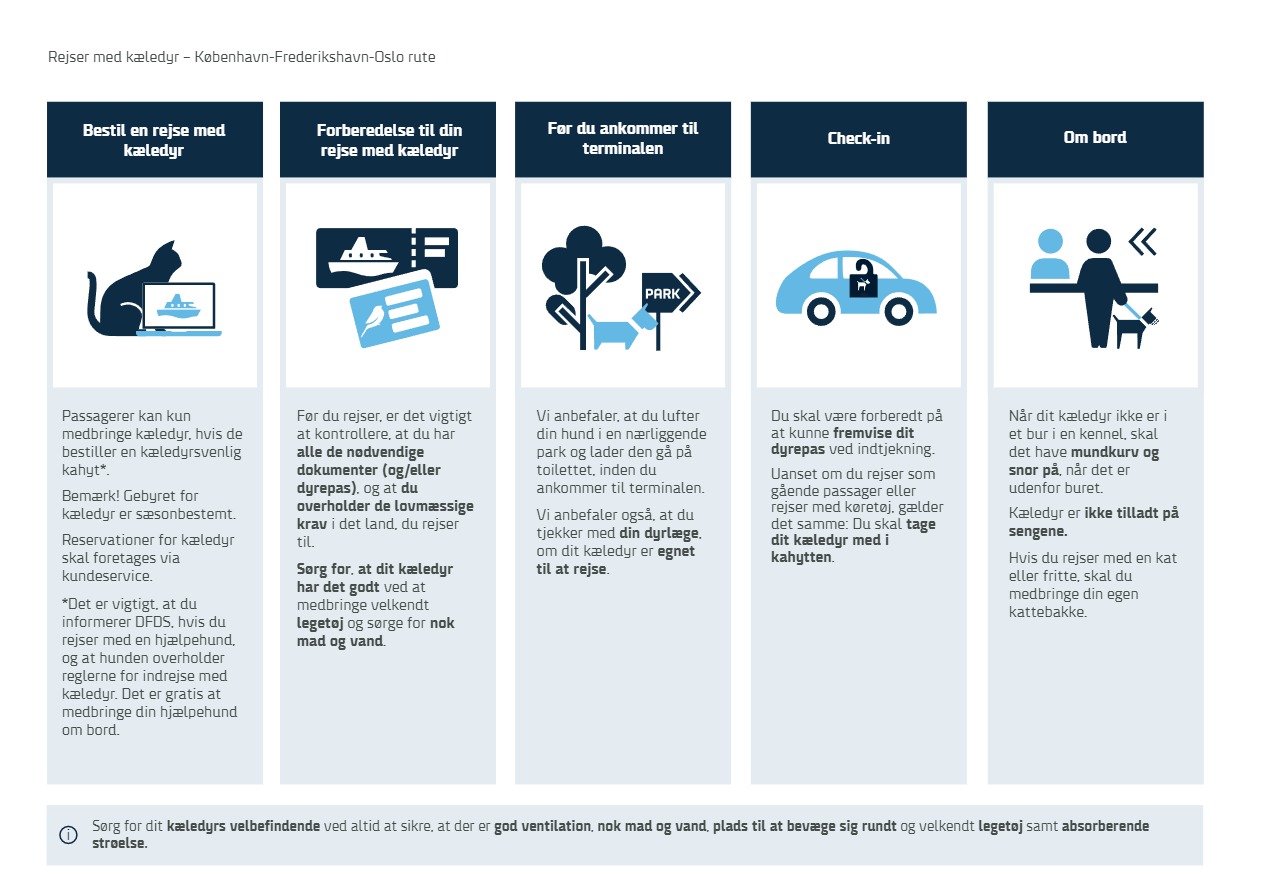 DK (1)1