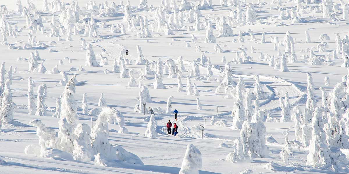 Langrend Trysil Credit Skistar