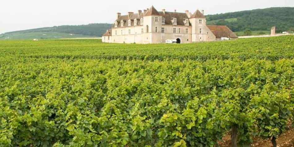 Wine regions in France - Burgundy