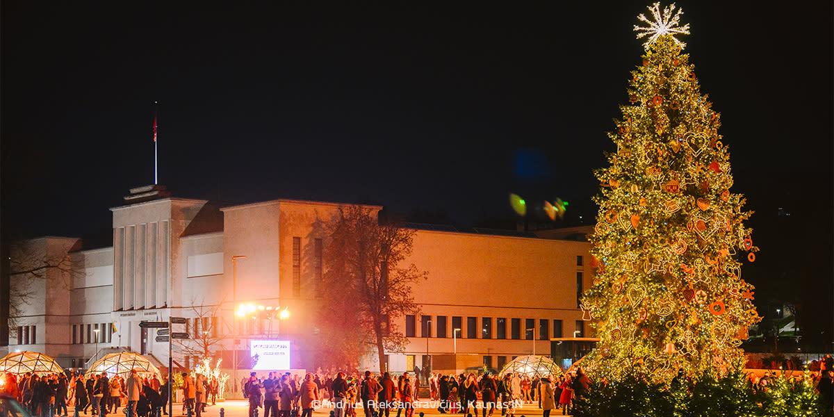 A. A Christmas tree in Kaunas 