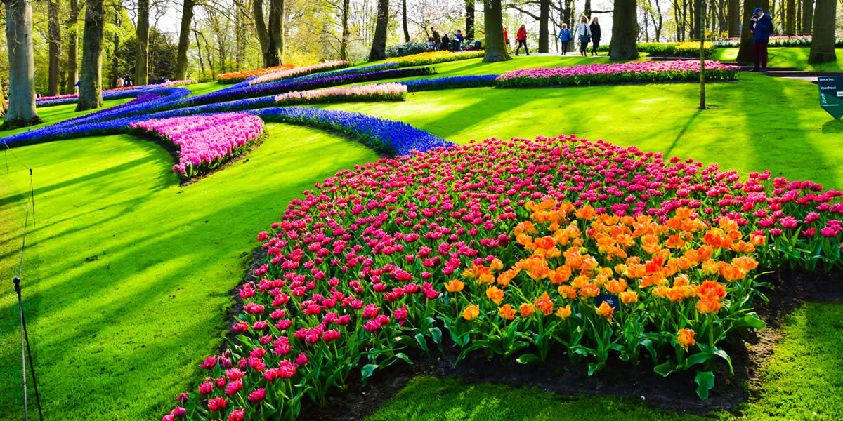 TravelGuide EventsHolland 2 Keukenhof