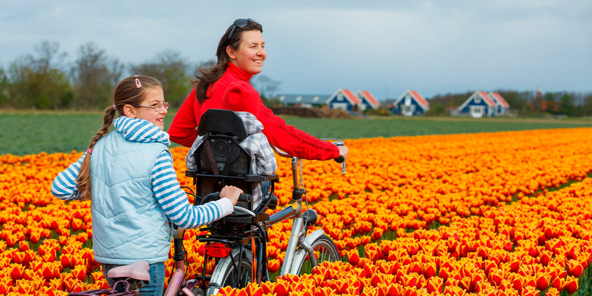 Amsterdam Fields