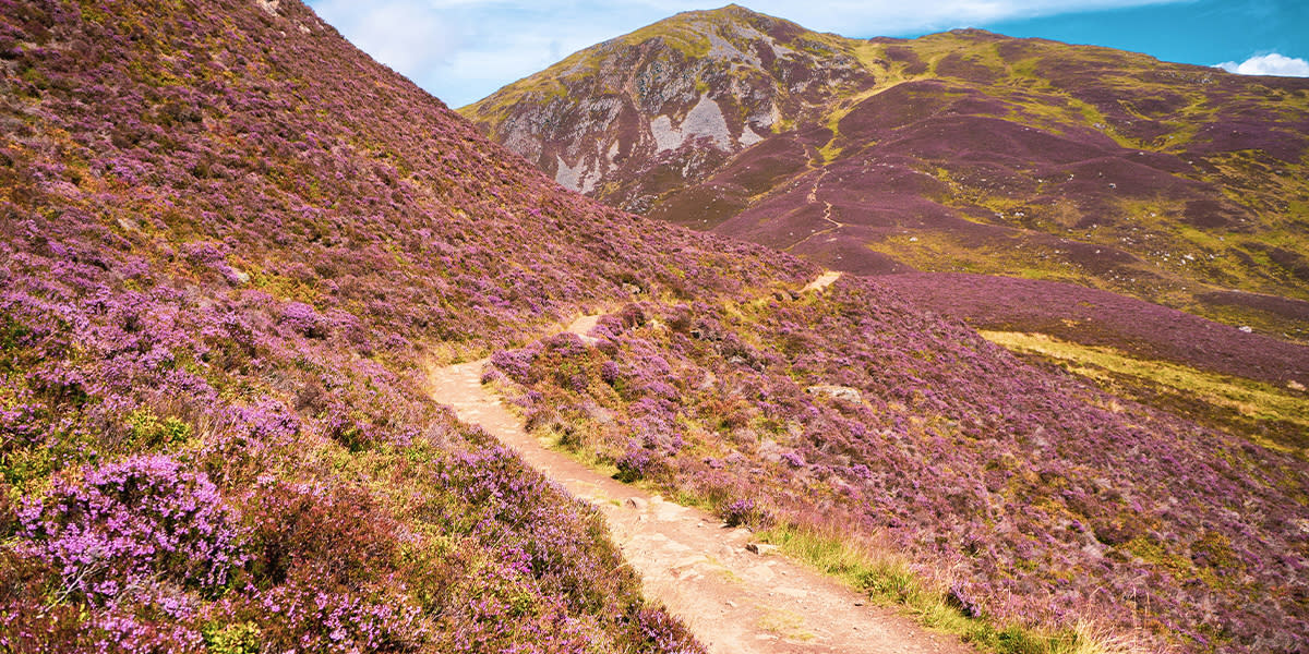 AN-NL-25-07-Web-Box-4-Cairngorms-National-Park-1200x600