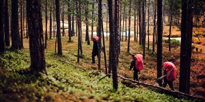 Finland - hiking