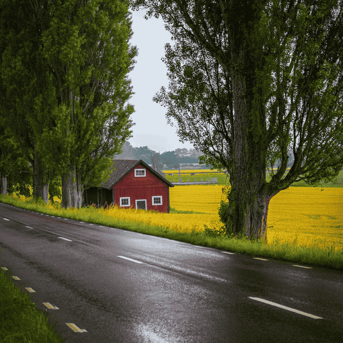 Sweden countryside