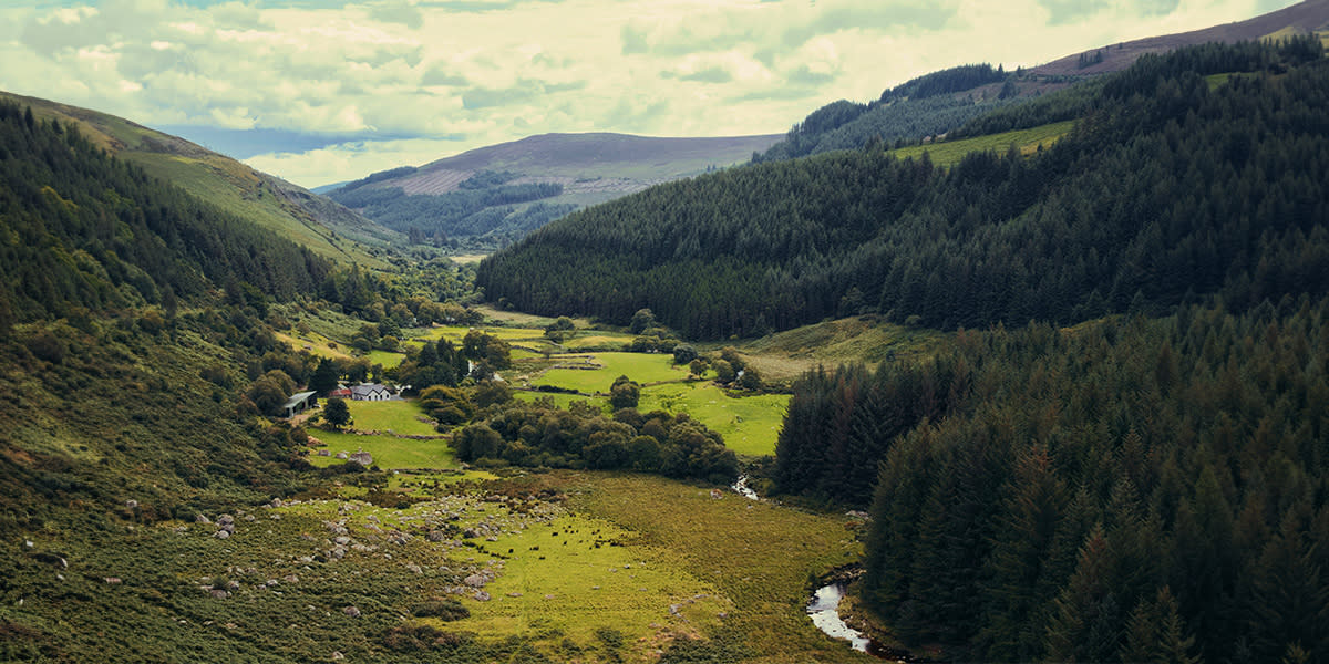 View of mountains in County Wicklow