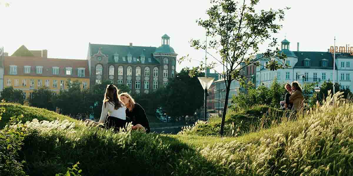 Grassy park Copenhagen