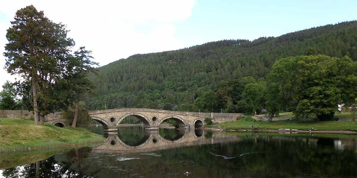 Nature in Scotland 