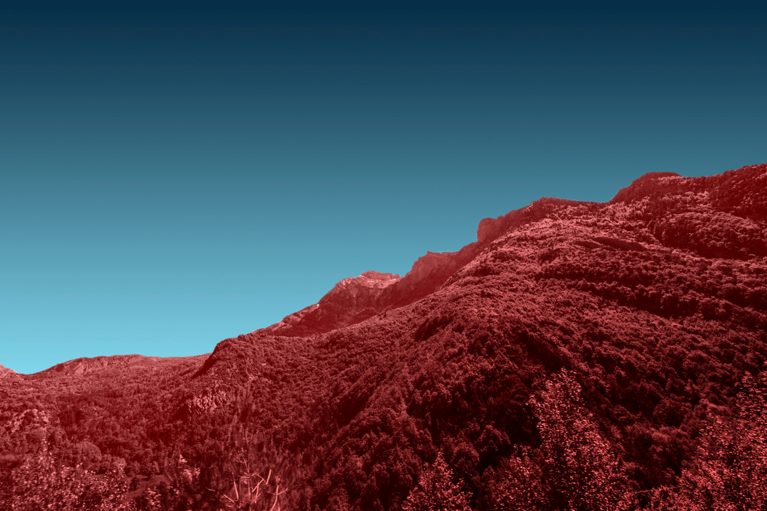 landscape