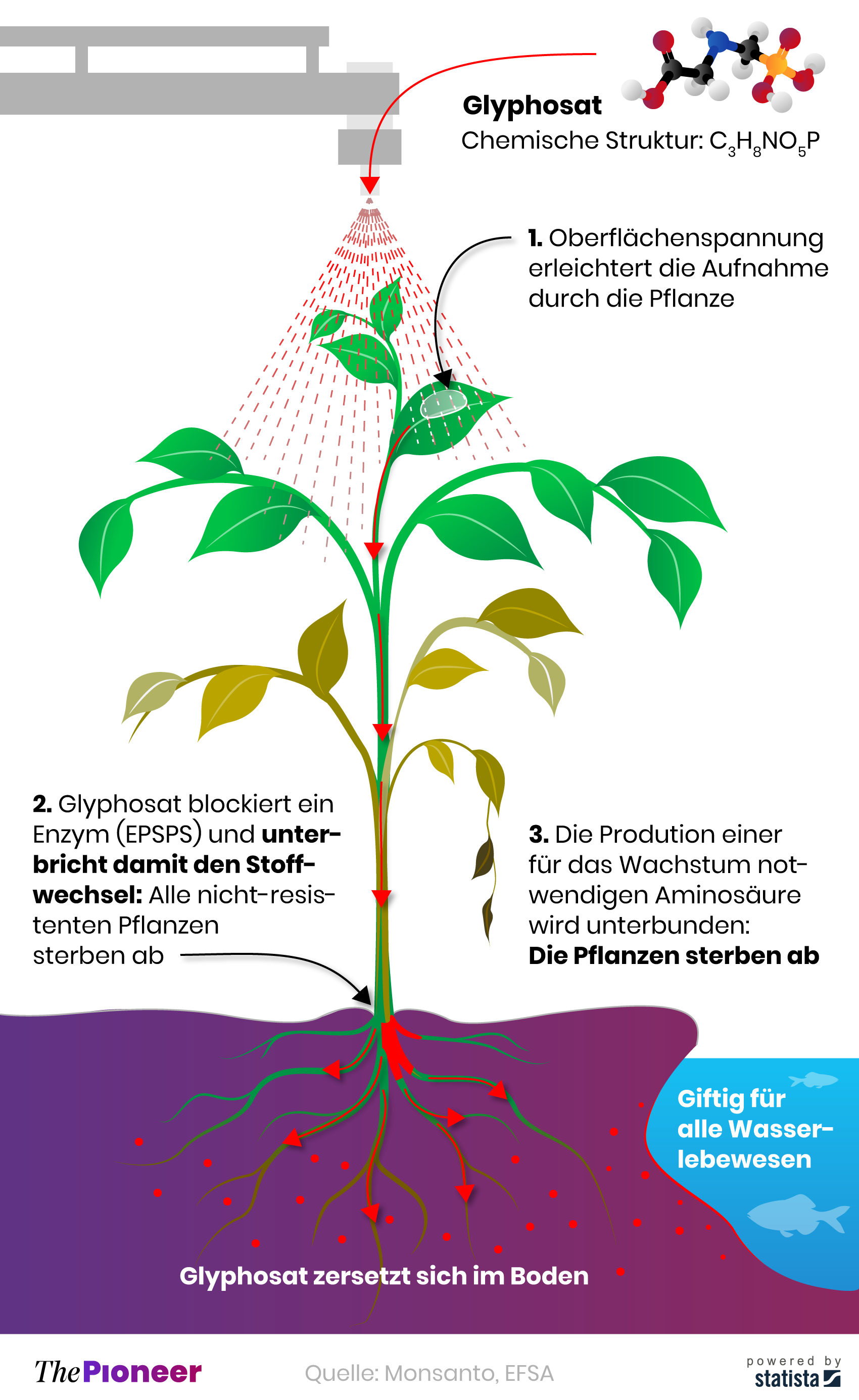 Glyphosat: Monsanto ist Bayers Ass im rmel | The Pioneer