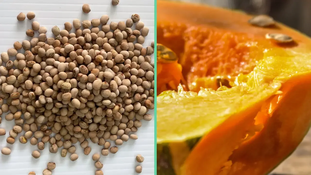 cultivos-agricultura-universidad-de-puerto-rico