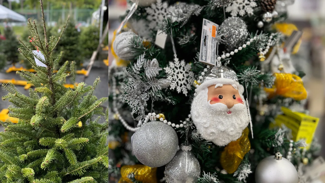 natural-o-artificial-donde-comprar-tu-arbol-de-navidad-en-puerto-rico