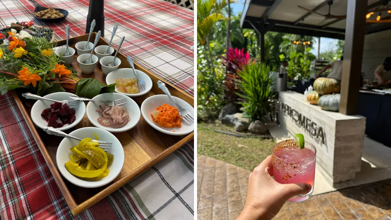 farm-to-table-fincas-hoteles-puerto-rico