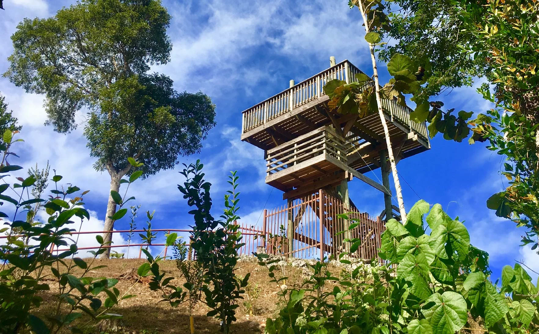 Bosque_Guajataca_ad8d739450.jpg