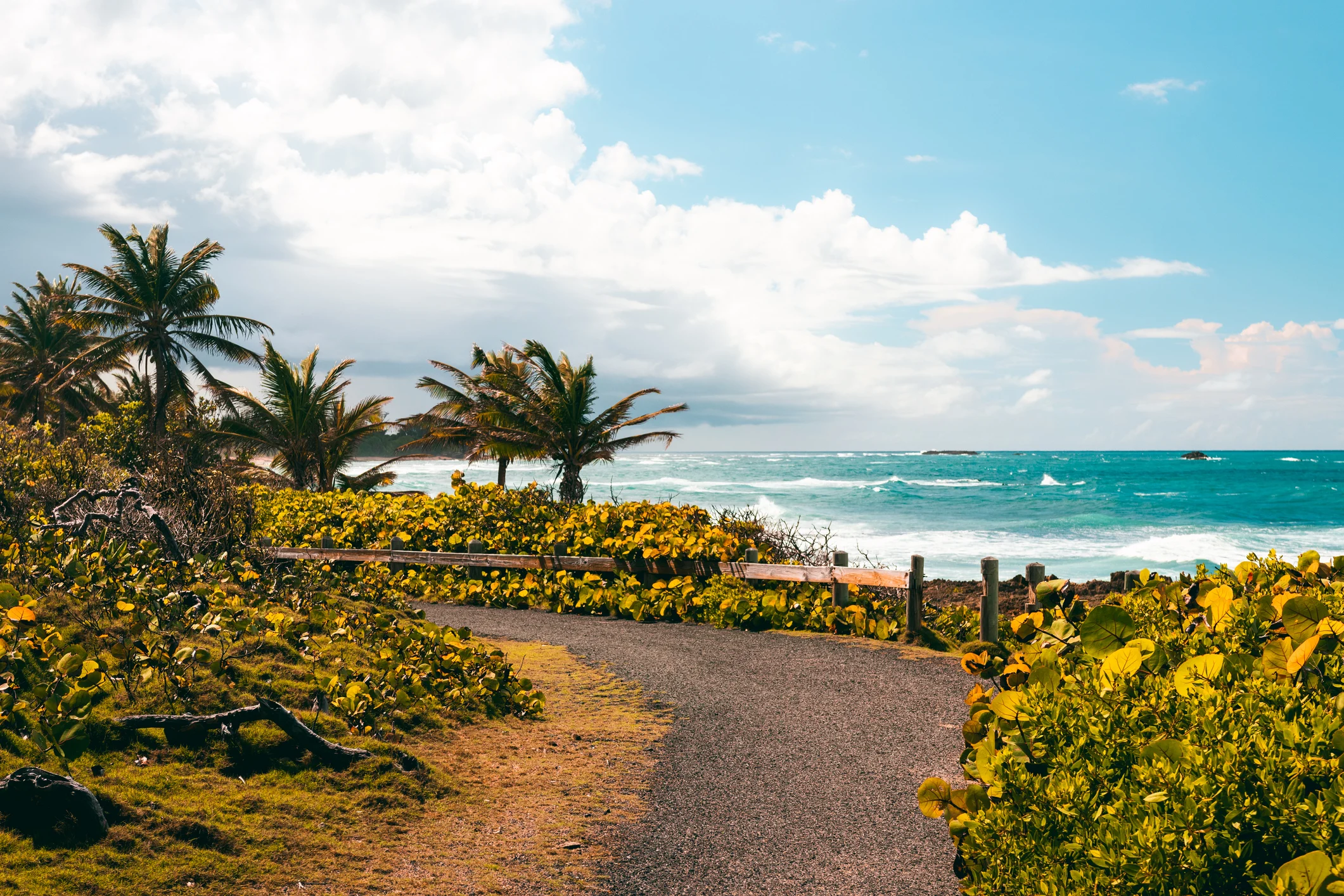 10 routes and trails for hiking and taking in a good view