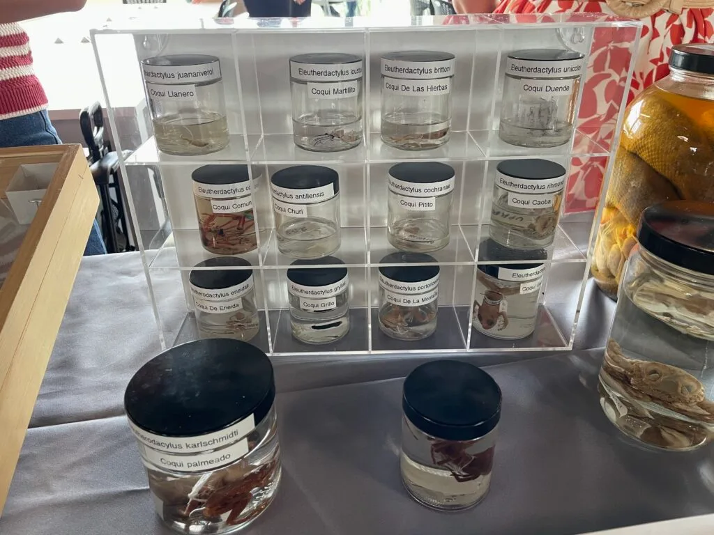 7 espacios y museos en Puerto Rico para aprender de ciencia, tecnología y naturaleza